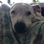 Susan Pinsky - @susanpinsky - Instagram
