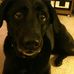 Susan Pinter - Facebook