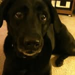 Susan Pinter - @myshadylady_3 - Instagram