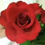 Susan Pistorius - @susan.pistorius.792 - Instagram