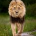 Sue Plaisted - Facebook