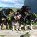 Sue Plaisted - Facebook