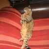 susanneplanert805 - @susanneplanert805 - TikTok