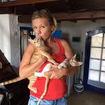 Susan Plate - @susanplate - Instagram
