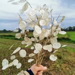 Susan - @platesusan - Instagram