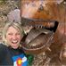 Susan McCurdy Plauche - Facebook