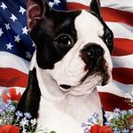 Susan Jean Pleasant - @susan.j.pleasant - Instagram