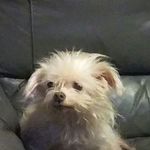 Susan Plott - @shayeshelms - Instagram