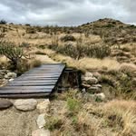 Susan Plourde - @semedicine - Instagram