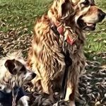 Susan Poisson - @s.poisson - Instagram