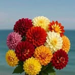 Susan Polanco - Facebook