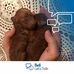 Susan Polhill-Klages - Facebook