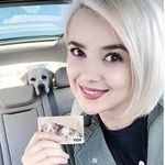 Rose Winter - @susanpollen - Instagram