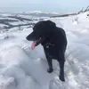 Susan Pollitt - @sue.pollitt - TikTok