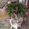Susan Spoor - @susanspoor - TikTok