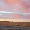 susanpoort - @susanpoort - TikTok
