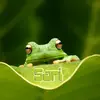 Varsha_Choudhary - @susan_pooree - TikTok