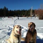 Susan Preble - @suesbigmac - Instagram