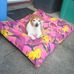 Susan Preece - Facebook