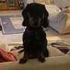 Susan Prestage - @susan.prestage - TikTok