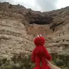 Susan Prevost16 - @susanprevost1 - TikTok