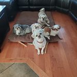 Susan Prevost - @prevostsusan - Instagram