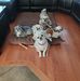 Susan Prevost - Facebook