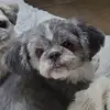 Susan Prevost - @susanprevost4 - TikTok
