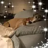 Susan Prewitt103 - @susanprewitt103 - TikTok
