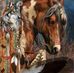 Susan Prine - Facebook