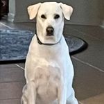 Susan Prophet Melton - @susanmrn620 - Instagram