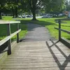 susanprophet - @susanprophet - TikTok