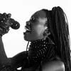 CopperChameleon - @susannahpryce - TikTok