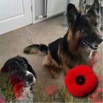 Susan Pryce - @susan.pryce.5 - Instagram