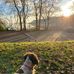 Susan Pryce - Facebook