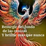Susan Puentes - @susan.longoria1 - Instagram