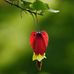 Susan Pullman - Facebook