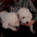 Susan Putney - Facebook