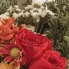 susan quintero - @susan.quintero - TikTok