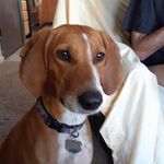 Susan Radabaugh - @sue.radabaugh - Instagram