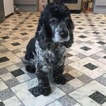 Susan Radley - @susan.radley.148 - Instagram