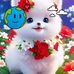 Shakil Sossen - Facebook