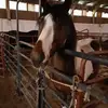 Susan Fraley - @susanfraley0 - TikTok