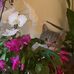 Susan Ralston - Facebook