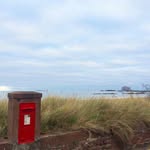 Susan Ralston - @ralston.susan - Instagram
