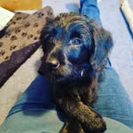 Susan Ralston - @susan.ralston.509 - Instagram