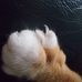Susie Ramer - Facebook