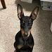 Susan Ramsbottom - Facebook