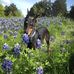 Susan Ramsbottom - Facebook