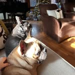 Susan Ramsdell Erkan - @susanramsdellerkan - Instagram